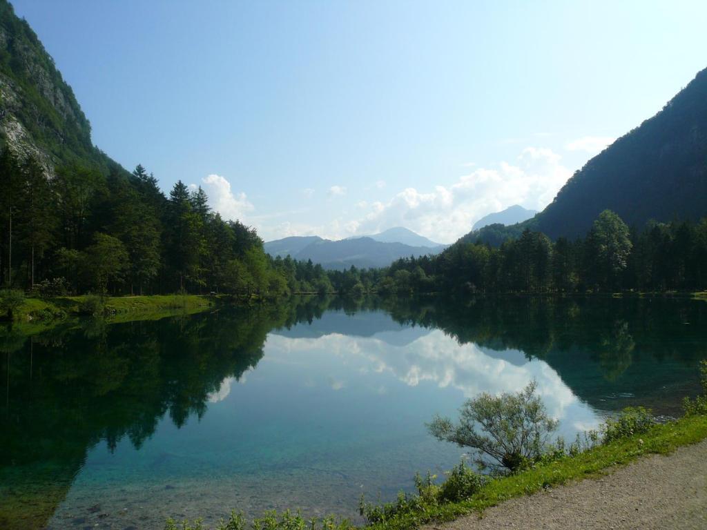 Goldener Ochs Bed and Breakfast Golling an der Salzach Exterior foto